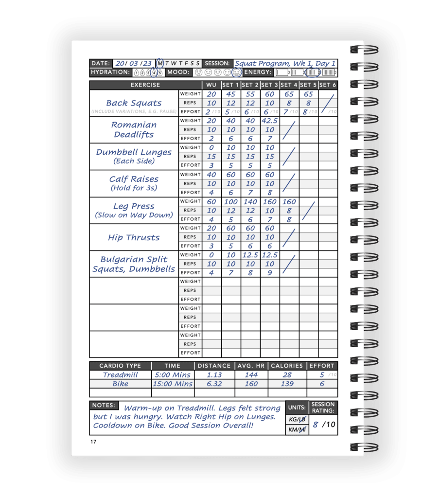Example Workout Logbook Session Page